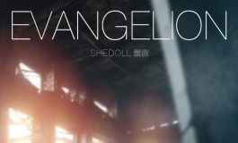 咕咕摄影大赛参赛篇 【胶享樂】EVANGELION SHEDOLL 蔷薇