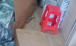 琉璃开箱贴