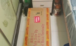 shedoll156tpe小芙1.0开箱（代客户发帖）