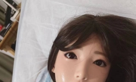 小猫1号到家