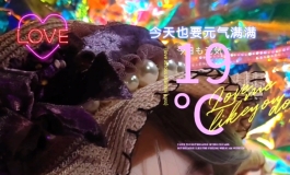 ❀完妆的173┗┓爱之美家的