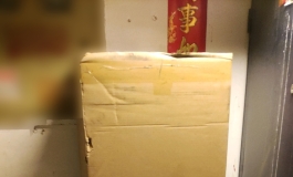 FUDOLL 165超轻加软版身体 开箱