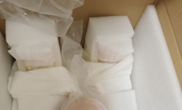 shedoll楚瑜163开箱