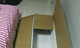 shedoll楚瑜163开箱