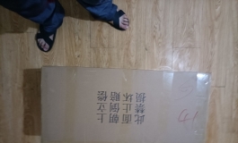 俊影香草半身