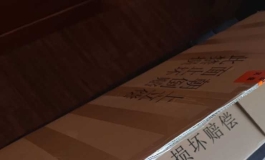 俊影娃娃