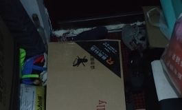 暴雨猫3开箱