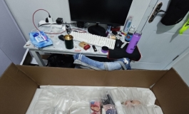 shedoll 148全松洛小乙开箱
