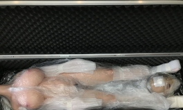 先纳信T155轰炸机米糕艺师妆开箱之老炮我有话要说
